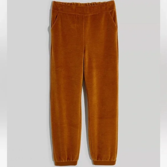 Madewell Velour Corduroy Relaxed Fit Acorn Joggers, M, NWT - Picture 5 of 6